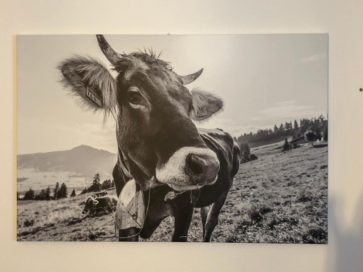 Allgaeuglueck - Natur & Stadtnah Füssen Dış mekan fotoğraf